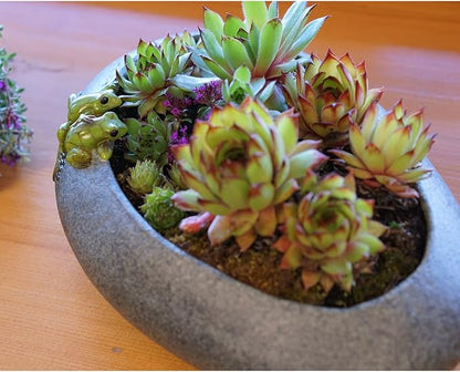 Top Collection Garden Frogs On Long Functional Stone Flower Pot Planter Figurine