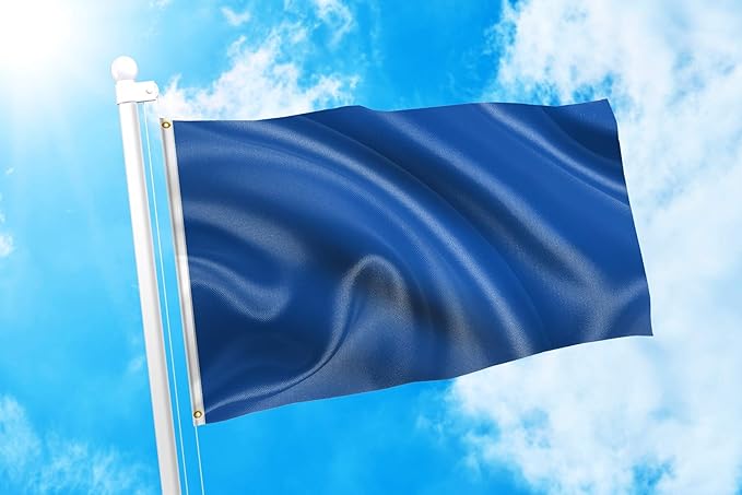 DMSE Solid Royal Blue Flag, 3x5 Flag, UV Resistant, Fade Resistant Material with Metal Grommets (3ft x 5ft), (Polyester), (Royal Blue)