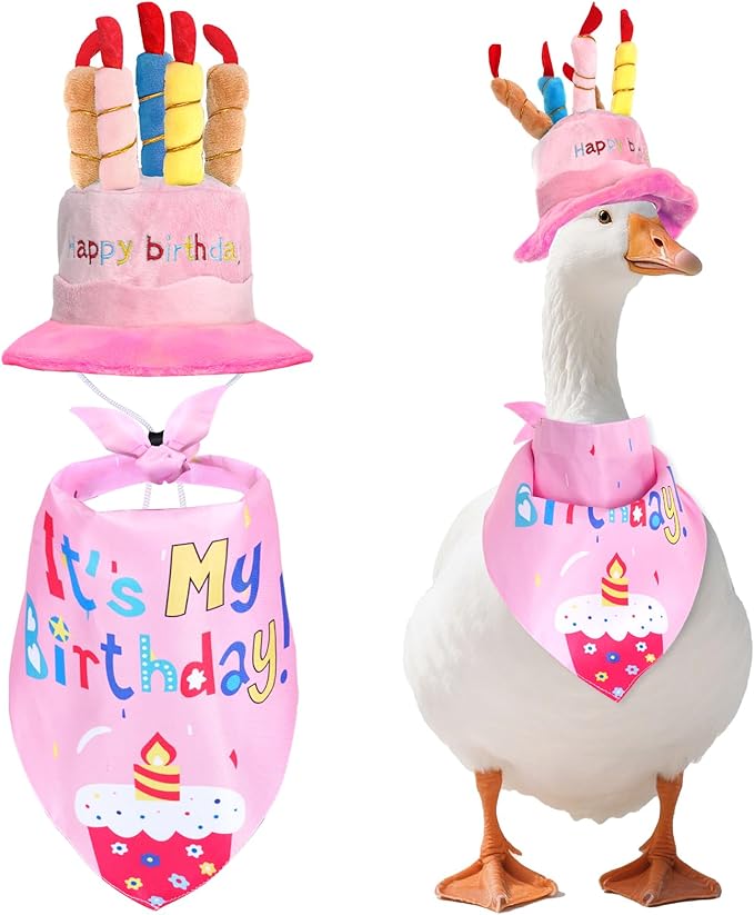 Happy Birthday Porch Goose Outfits with Birthday Cake Hat and Bandana for 17" 23" Cement Lawn Goose Statue Costume for Luau Party Outdoor Garden Yard Decor (Pink)