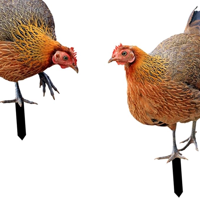Garden Rooster Stake Hen Ornaments Decorative Figures Gift Figurines Animal Statue Stakes Realistic Chicken Sculpture for Farm Patio Outdoor, AB