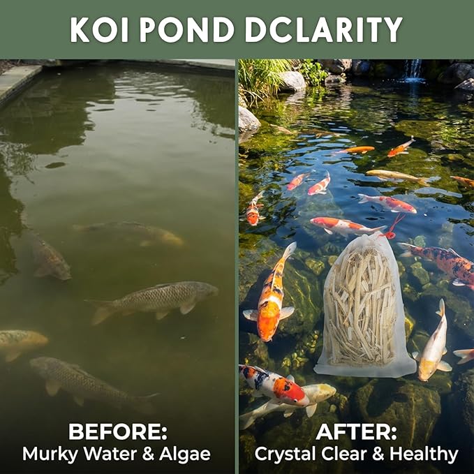 MAQIHAN Barley Straw for Ponds – Pond Media for Outdoor Fish Pond & Koi Pond, Natural Pond Filtration Accessory, Supports Water Balance for Garden Ponds & Water Features, 10 Mesh Filter Bags Included