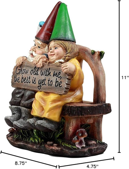 Ebros Grow Old with Me Mr and Mrs Gnome Statue 11" Tall for Patio Garden Lawn Home Decor Figurine (2)
