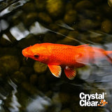 CrystalClear Algae D-Solv Pond Algae Control, Fast-Acting EPA Registered Algaecide, Use in Fountains & Outdoor Ponds Containing Koi & Other Fish, Treats 11,520 Gallons, 32 Ounces