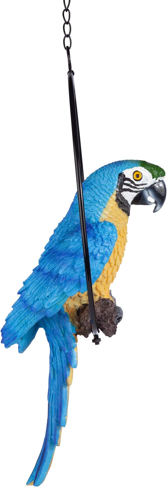 Design Toscano Polly in Paradise Parrot Hanging Bird Ring Perch Indoor/Outdoor Statue, Medium 14 Inch Tall, Cast Stone Resin, Blue Yellow Finish