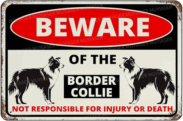 Beware Of The Dog Border Collie Sign Aluminum Metal Tin Signs Outdoor Yard Sign Warning Sign For Fence Yard Home Kitchen Farm Garden Wall Decor 8x12 Inch