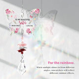 Funnli Sister Gifts Crystal Suncatcher, Birthday Christmas Mothers Day Valentines Day Easter Gifts for Sister Bestie Friend from Sistes Brother Window Hangings Home Decor