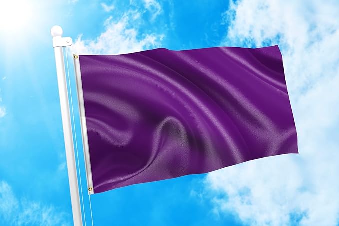 DMSE Solid Purple Flag, 3x5 Flag, UV Resistant, Fade Resistant Material with Metal Grommets (3ft x 5ft), (Nylon), (Purple)