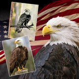 OULYDEKO Bald Eagle Metal Bird Yard Art, Outdoor Tree Decor, Eagle Statue Gift for Men