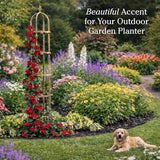 Plow & Hearth Metal Garden Obelisk | Indoor/Outdoor | Powder-Coated Steel | Trellis for Climbing | Floral Pattern | 11" Dia. x 8'H | Bronze