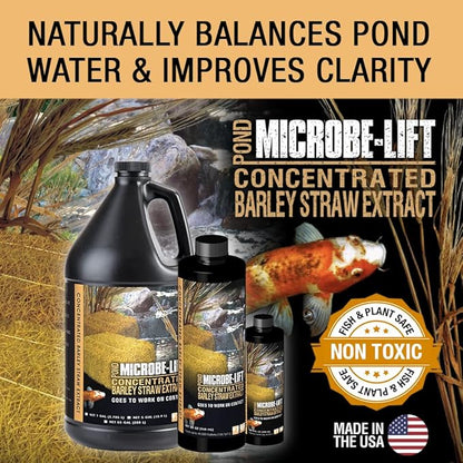 Microbe-Lift Concentrated Barley Straw Extract Conditioner for Ponds – 1 Gallon – Safe for Koi Fish, Plants & Decorations – Natural Pond Conditioner, Cost-Efficient & Organic Solution
