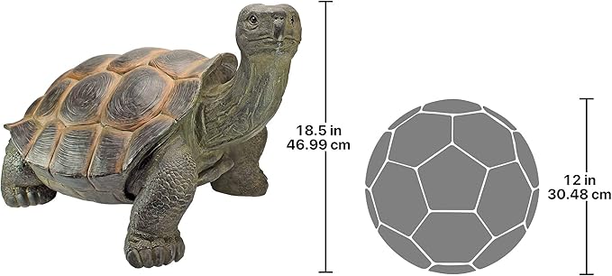 Design Toscano The Cagey Tortoise Statue
