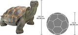 Design Toscano The Cagey Tortoise Statue