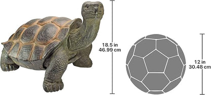 Design Toscano The Cagey Tortoise Statue
