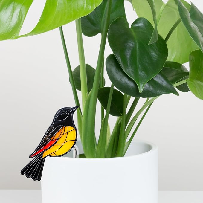 Hummingbird Gifts for Women Mom Grandma, Hanging Planter for Indoor Outdoor Garden, Bird Lover Plant Decor, Mothers Day Birthday Gifts from Daughter Son(1)