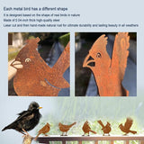 5PCS Rusty Metal Birds Decoration, Outdoor Fence Yard Decor, Metal Bird Art, Fence Decorations Outdoor, Rustic Garden Decor, Garden Sculptures Statues, Lawn Ornaments (Cardinal)