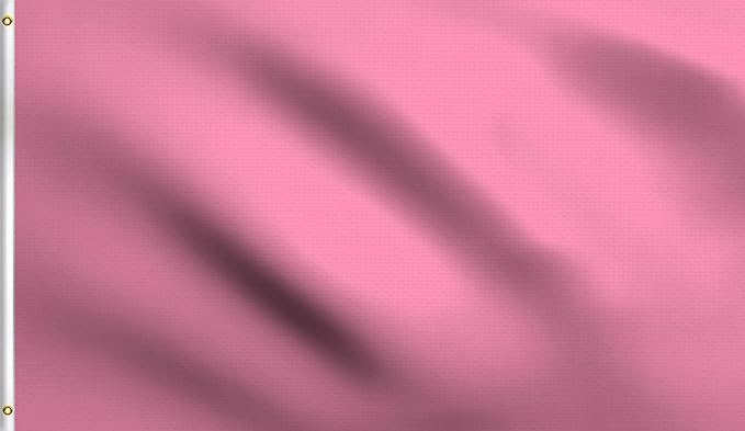 DMSE Solid Pink Flag, 2x3 Flag, UV Resistant, Fade Resistant Material with Metal Grommets (2ft x 3ft), (Nylon), (Pink)