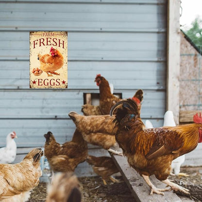 Chicken-Sign Metal-Sign Wall-Art Décor-Yard, Farm Fresh Eggs, Farm Plaque Garden Sign Outdoor Coop Décor for Home Fence 8 X 12 Inches