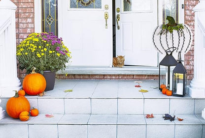Morning View Pumpkin Garden Stakes Metal Yard Sign Fall Decor Outdoor Autumn Yard Stake Art Pumpkin Lawn Ornaments for Patio Porch Thanksgiving Halloween Harvest 30 Inches Tall(White)