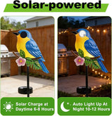 Rngmsi Garden Solar Lights Dynamic Eyes, Bird Solar Garden Lights Stake Outdoor Decorations, LED Lighting Blue Bird Decor Gifts for Patio Yard Pathway Lawn