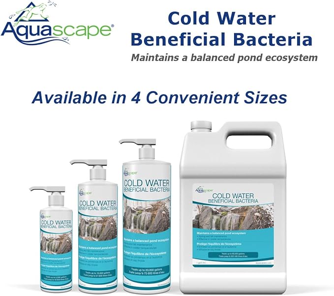 Aquascape Cold Water Beneficial Bacteria for Ponds, 1 Gal / 3.78 L – Maintains Clean and Clear Water in Cooler Temperatures – Safe for Koi, Fish, and Plants, 96021