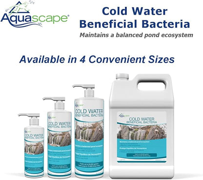 Aquascape Cold Water Beneficial Bacteria for Ponds, 1 Gal / 3.78 L – Maintains Clean and Clear Water in Cooler Temperatures – Safe for Koi, Fish, and Plants, 96021