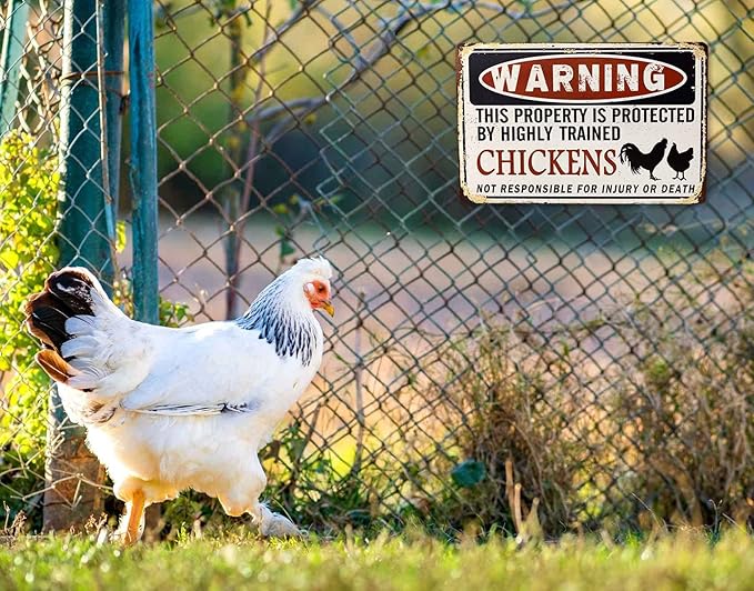 Funny Chicken Coop Sign - "Warning: Property Protected by Chickens" Decorative Metal Sign for Farm, Home, or Garden 12" * 8" (219)