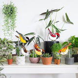 Bird Butterfly Flower Plant Pot Stake Decoration, 4.7 Inch 2D Colorful Acrylic Bird Butterfly Garden Ground Insert Decor, Outdoor Yard Lawn Pathway Patio Art Ornaments, Gifts for Mom (G)
