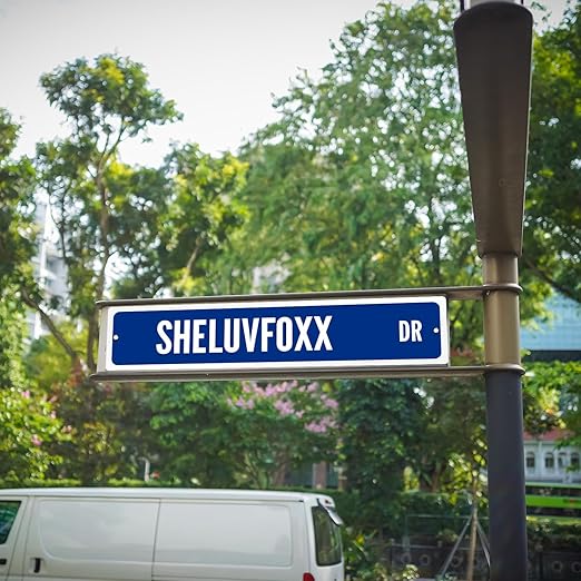 Customize Your Own Blue Street Sign by SmartSign | 18" x 4" Aluminum