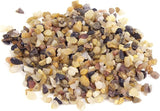 Hill's Park's Miniature Fairy Garden Multi-Colored River Rock Decor in Plastic Container with Lid - 1 Pound