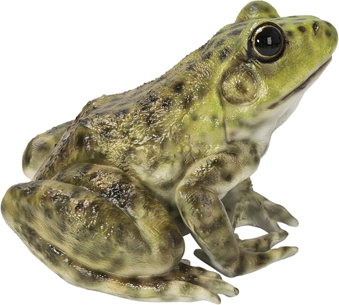 Hi-Line Gift American Bullfrog, Green