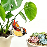 Hummingbird Gifts for Women Mom Grandma, Hanging Planter for Indoor Outdoor Garden, Bird Lover Plant Decor, Mothers Day Birthday Gifts from Daughter Son(21)