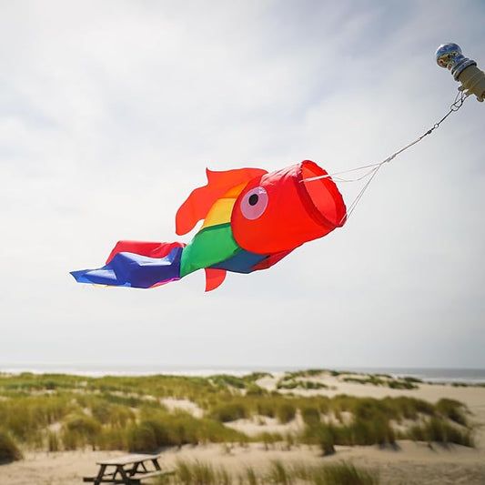 In the Breeze 5208 — 30-inch Rainbow Damsel Fish Windsock —Large and Colorful Fishsock with Applique Design
