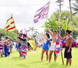 2 Pack Set America State Hawaii & Kanaka Maoli Flag 3x5 Ft Large, Both Sides moderate-outdoor&indoor 3' x 5' Kamehameha Hawaiian Flags House Decoration Banner Yard Gifts