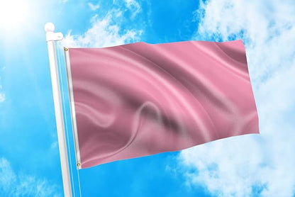 DMSE Solid Pink Flag, 3x5 Flag, UV Resistant, Fade Resistant Material with Metal Grommets (3ft x 5ft), (Polyester), (Pink)