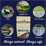 Muck Remover GP - 150 Pellets | Koi Pond Sludge Remover | Safe for Fish | Treats 5,000 Gallons up to 5 Months