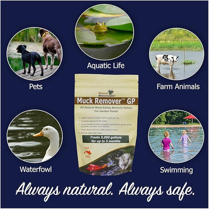 Muck Remover GP - 150 Pellets | Koi Pond Sludge Remover | Safe for Fish | Treats 5,000 Gallons up to 5 Months