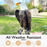 24" Bald Eagle Statue for Garden, Outdoor Sculpture, Animal Decor for Yard Porch Entryway Patio Living Room (Large, Bald Eagle)