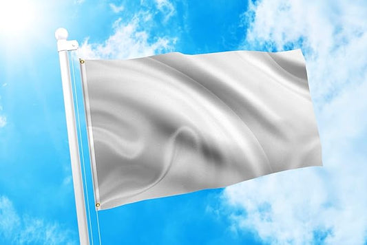 DMSE Solid White Flag, 3x5 Flag, UV Resistant, Fade Resistant Material with Metal Grommets (3ft x 5ft), (Polyester), (White)