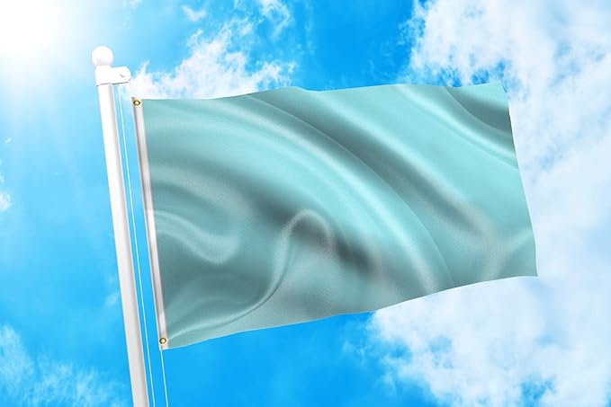 DMSE Solid Light Blue Flag, 3x5 Flag, UV Resistant, Fade Resistant Material with Metal Grommets (3ft x 5ft), (Nylon), (Light Blue)