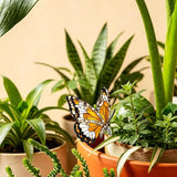 Butterfly Gifts for Women, Hanging Plant Planter Indoor Outdoor, Mothers Day Birthday Gifts for Mom Grandma from Daughter Son, Butterfly Lover Garden Decor Plant Pot(3)