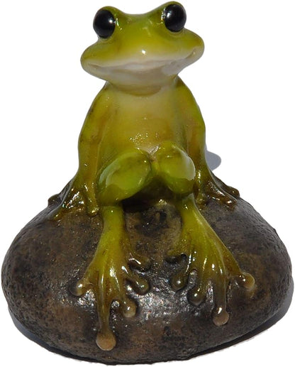 Top Collection 2.725-Inch Miniature Fairy Garden and Terrarium Cute Frog on Stone, Mini