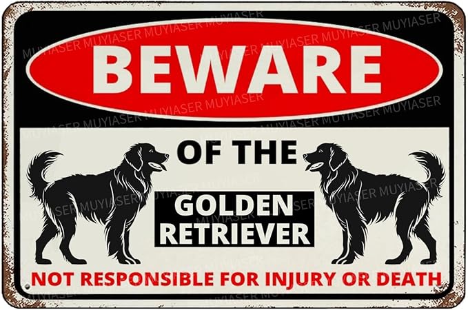 Beware Of The Dog Golden Retriever Sign Aluminum Metal Tin Signs Outdoor Yard Sign Warning Sign For Fence Yard Home Kitchen Farm Garden Wall Decor 8x12 Inch