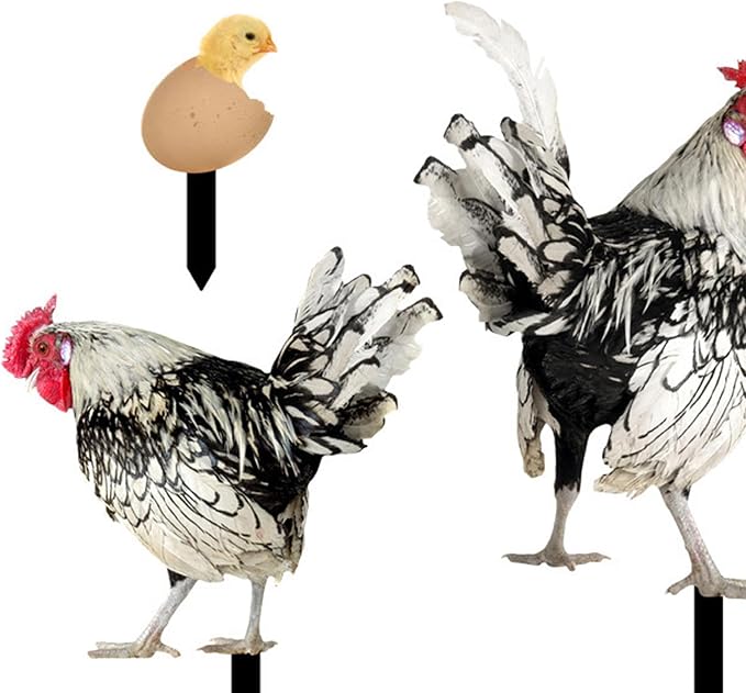 3Pcs Chicken Decorative Garden Stakes Yard Art Decor Outdoor Decoration Acrylic Ornaments Animal Stakes for Landscape Outside