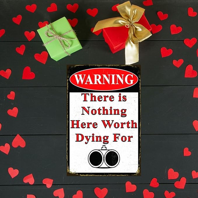 Funny No Trespassing Sign, Metal Warning Tin Signs, Nothing Here Worth Dying for, Yard Sign Garage Farm Garden Wall Decor Sign Plaque Outdoor for Home Fence 8 X 12 Inches