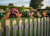 Aimto 5PCS Rusty Birds Decoration,Metal Birds Garden Decor for Outside,Outdoor Bird Wall Decor,Metal Birds Craft Statue Ornaments - Garden Sculptures,Outdoor and Yard Art, Lawn Ornaments