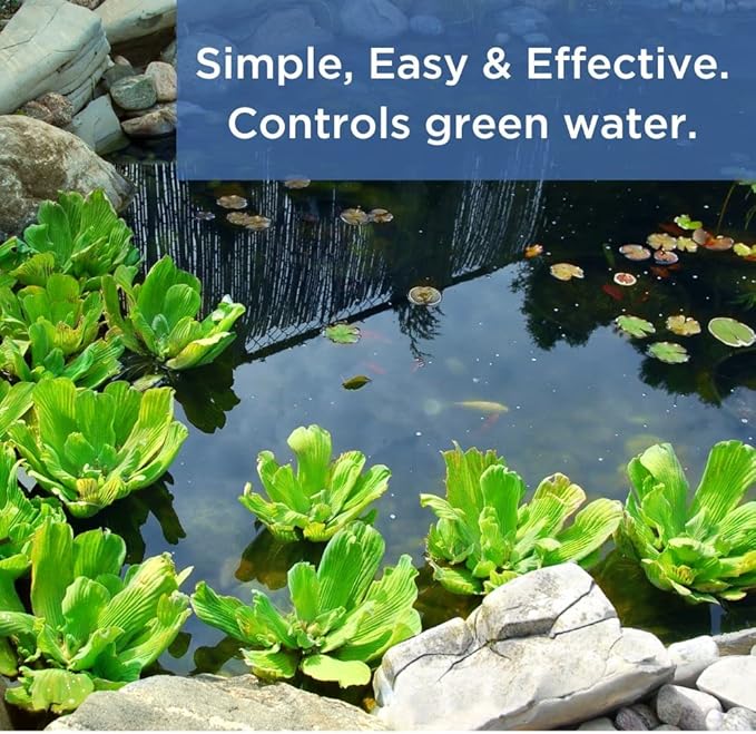 Healthy Ponds AquaLily Pond Water Cleaner Filled with Natural Beneficial Bacteria | Decorative Reloadable Dispenser Treats up to 1,000 Gallons