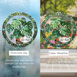 8 Inch Sun Catchers Indoor Window, Acrylic Rainbow Suncatcher Window Hanging Decoration for Living Room Bedroom Summer Home Balcony Ornaments Decoration (64 Leaf)