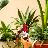 Cardinal Gifts for Women, Mom Grandma, Bird Lover Gifts, Hanging Plant Planter Indoor Outdoor, Spring Garden Decor, Cardinal Home Outdoor Decoration(10)