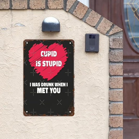 Retro Tin Signs Is Stupid I Was Drunk 8x12 Inches Metal Wall Decor for Garden,Kitchen,Living Room,Patio,Office,Bathroom,and More! Vintage Funny Sign