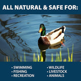 Airmax PondClear Packets, Beneficial Bacteria & Enzyme Clarifier Treatment with Ecoboost PRx, Clear & Clean Pond & Lake Water, Safe for Fish, 12-Count